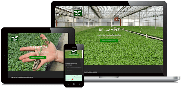 Exemplificação do site da Relcampo em vários dispositivos